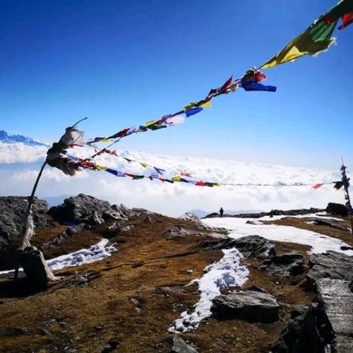 IMG-20240130-WA0181