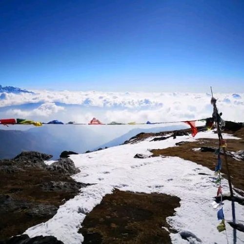 IMG-20240130-WA0184